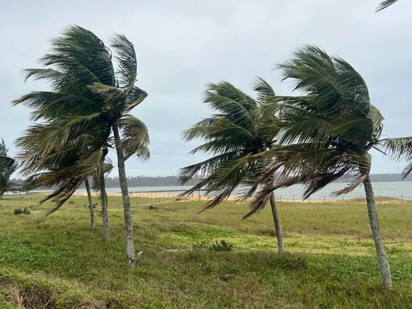 Ventos Fortes Atingem PE; Rajadas Chegam a 52 km/h