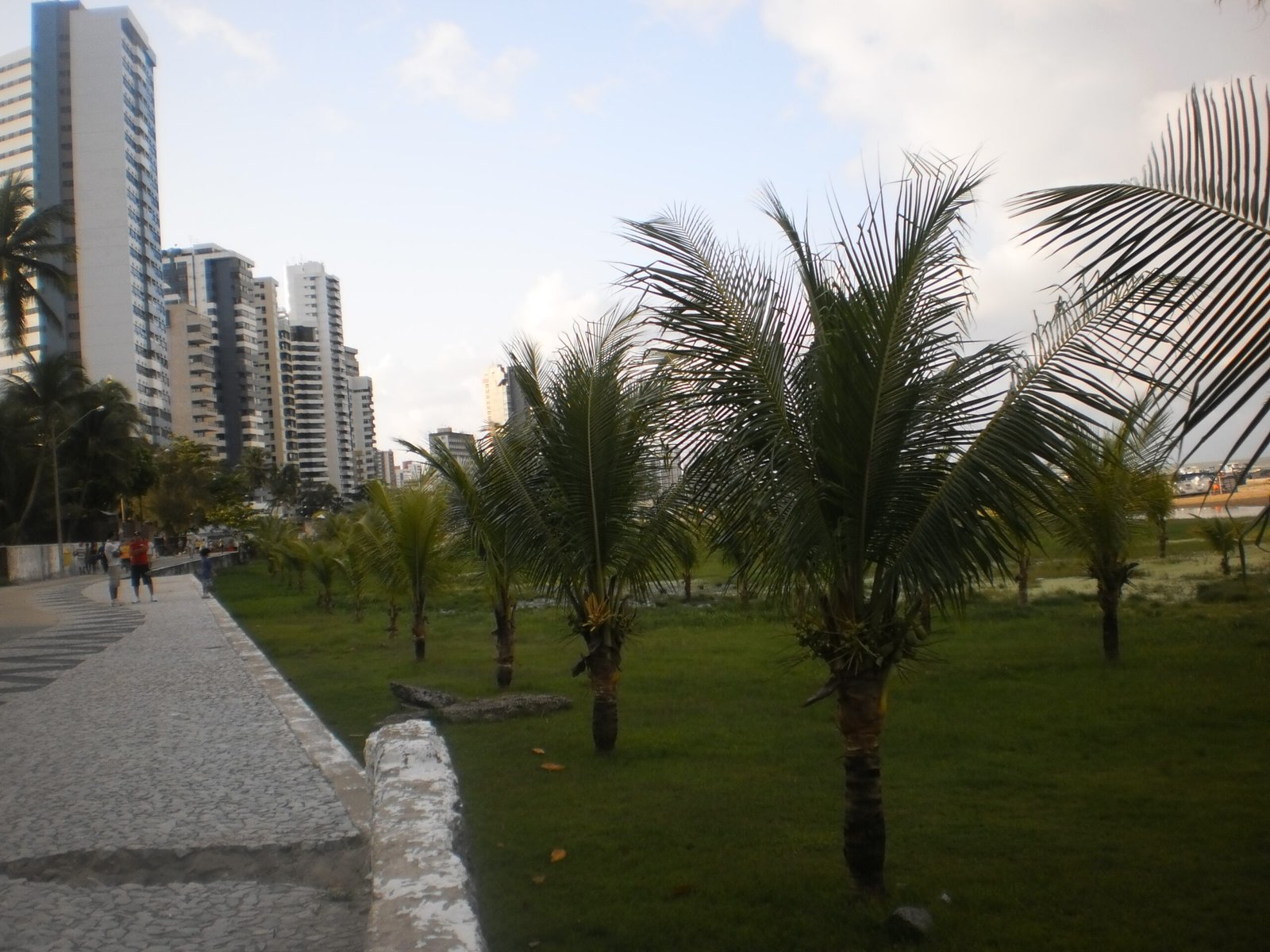 Caminhada em apoio a Lula reúne participantes em Jaboatão no domingo